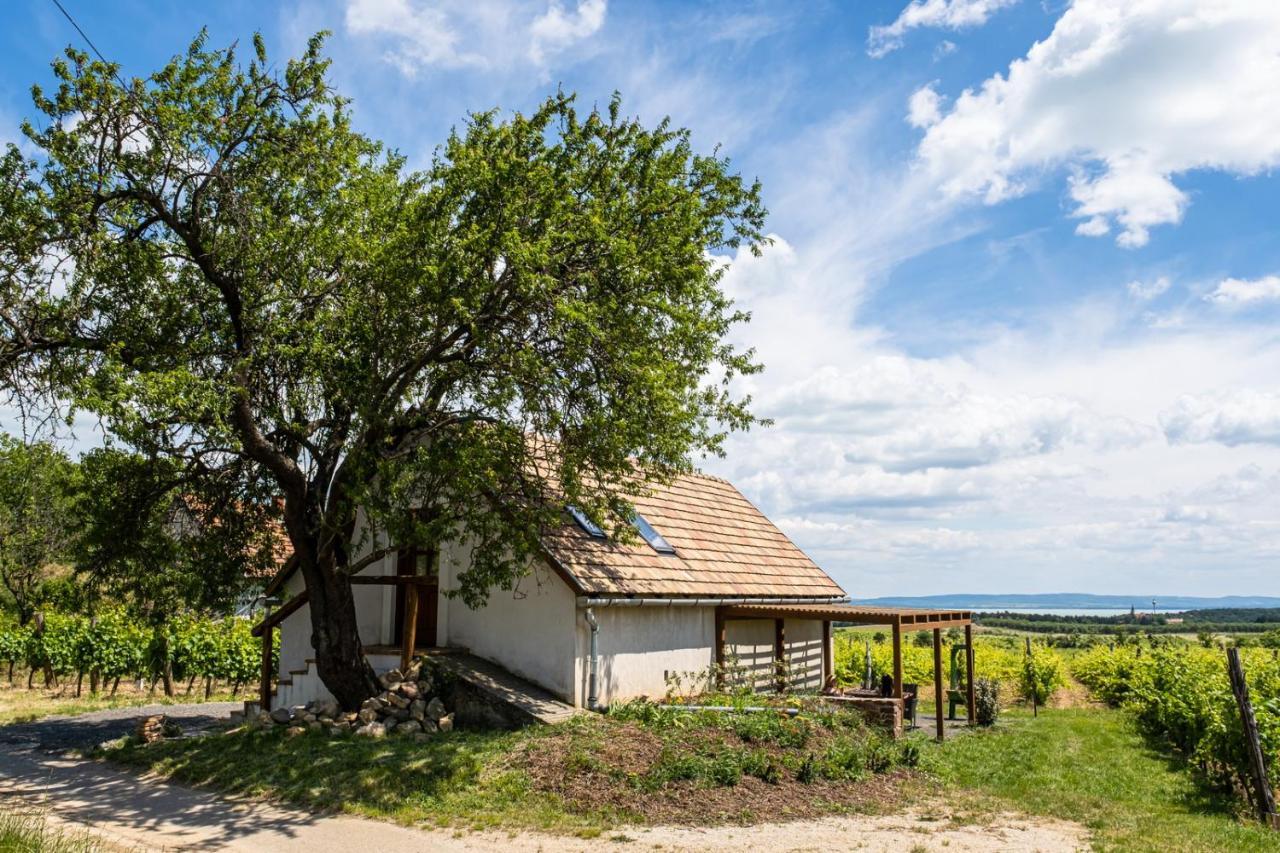 Tagyon Birtok Mandula Apartmanhaz Exteriör bild