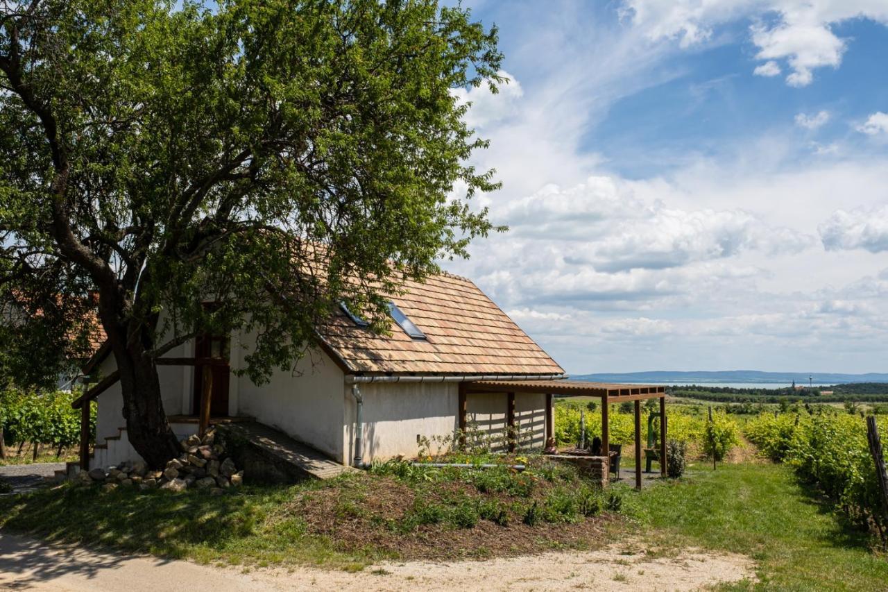 Tagyon Birtok Mandula Apartmanhaz Exteriör bild